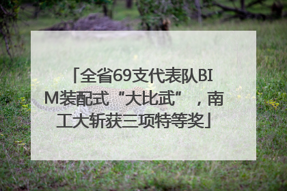 全省69支代表队BIM装配式“大比武”，南工大斩获三项特等奖