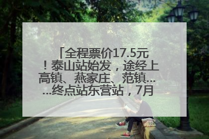 全程票价17.5元！泰山站始发，途经上高镇、燕家庄、范镇……终点站东营站，7月1日开通！
