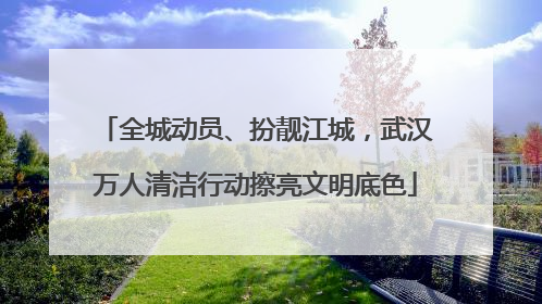 全城动员、扮靓江城，武汉万人清洁行动擦亮文明底色