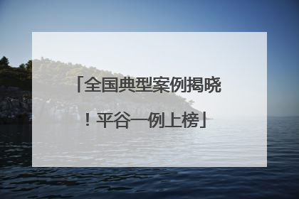 全国典型案例揭晓！平谷一例上榜