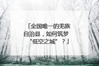 全国唯一的羌族自治县，如何筑梦“低空之城”？