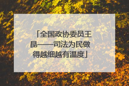 全国政协委员王昆——司法为民做得越细越有温度