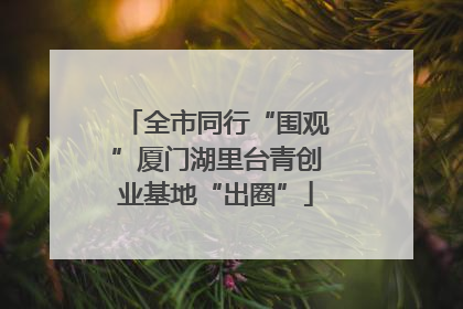 全市同行“围观”厦门湖里台青创业基地“出圈”