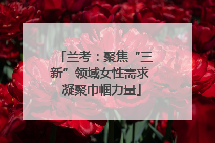 兰考：聚焦“三新”领域女性需求 凝聚巾帼力量