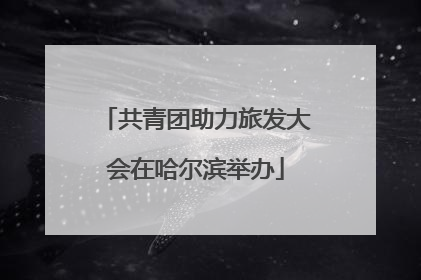 共青团助力旅发大会在哈尔滨举办