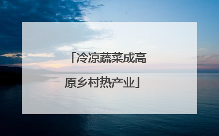 冷凉蔬菜成高原乡村热产业