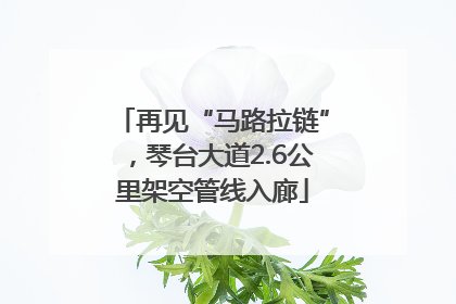 再见“马路拉链”，琴台大道2.6公里架空管线入廊