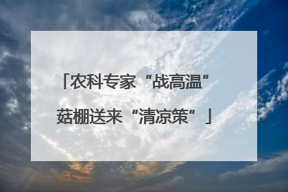 农科专家“战高温” 菇棚送来“清凉策”