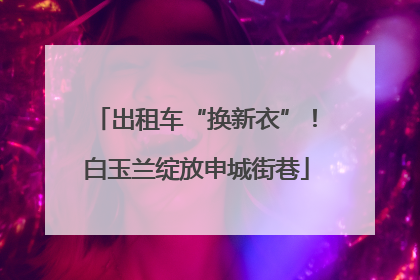 出租车“换新衣”！白玉兰绽放申城街巷