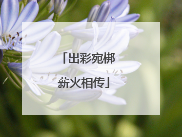 出彩宛梆 薪火相传