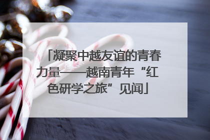 凝聚中越友谊的青春力量——越南青年“红色研学之旅”见闻