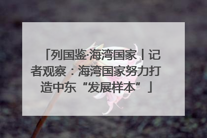 列国鉴·海湾国家丨记者观察：海湾国家努力打造中东“发展样本”