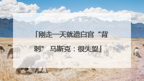 刚走一天就遭白宫“背刺” 马斯克：很失望