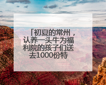 初夏的常州，认养一头牛为福利院的孩子们送去1000份特别的礼物