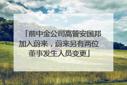 前中金公司高管安国邦加入蔚来，蔚来另有两位董事发生人员变更