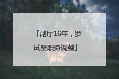 副厅16年，罗试坚职务调整