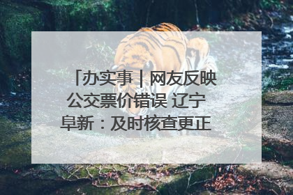 办实事｜网友反映公交票价错误 辽宁阜新：及时核查更正 加强实时巡检