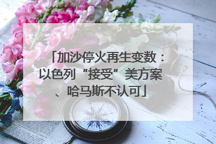 加沙停火再生变数：以色列“接受”美方案、哈马斯不认可