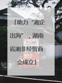 助力“湘企出海”，湖南省湘非经贸商会成立