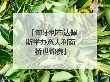 匈牙利布达佩斯举办意大利面桥世锦赛