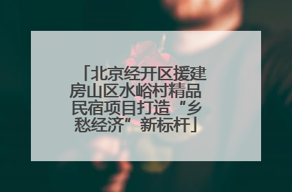 北京经开区援建房山区水峪村精品民宿项目打造“乡愁经济”新标杆