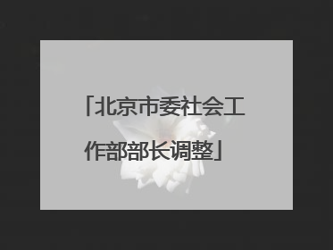 北京市委社会工作部部长调整