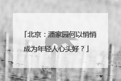 北京：潘家园何以悄悄成为年轻人心头好？