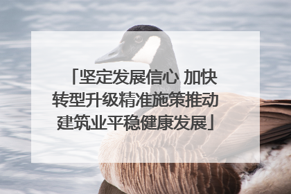 坚定发展信心 加快转型升级精准施策推动建筑业平稳健康发展