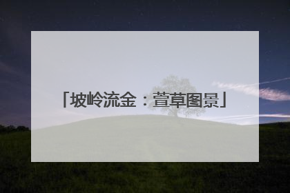 坡岭流金：萱草图景