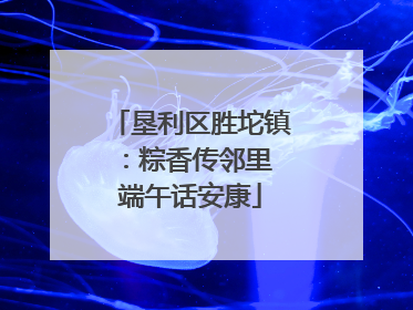 垦利区胜坨镇：粽香传邻里 端午话安康