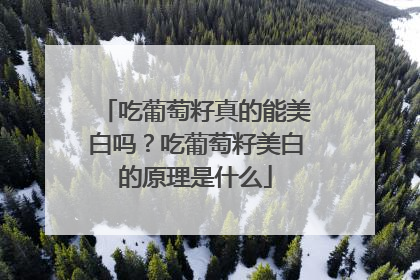 吃葡萄籽真的能美白吗？吃葡萄籽美白的原理是什么