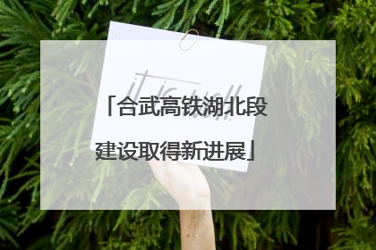 合武高铁湖北段建设取得新进展