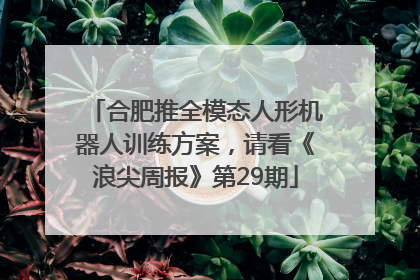 合肥推全模态人形机器人训练方案，请看《浪尖周报》第29期