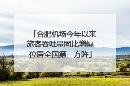 合肥机场今年以来旅客吞吐量同比增幅位居全国第一方阵