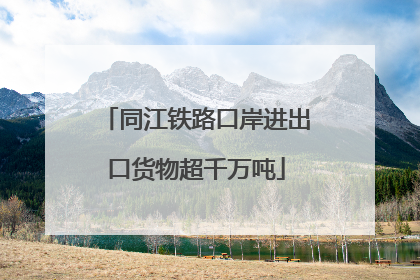 同江铁路口岸进出口货物超千万吨