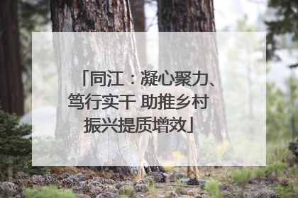 同江：凝心聚力、笃行实干 助推乡村振兴提质增效