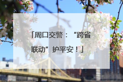 周口交警：“跨省联动”护平安！
