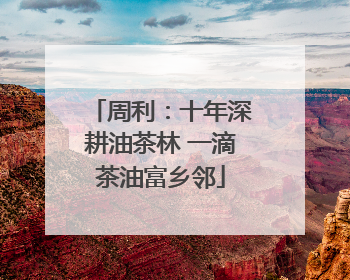 周利：十年深耕油茶林 一滴茶油富乡邻