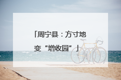 周宁县：方寸地变“增收园”