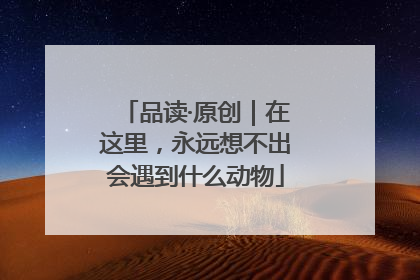 品读·原创｜在这里，永远想不出会遇到什么动物