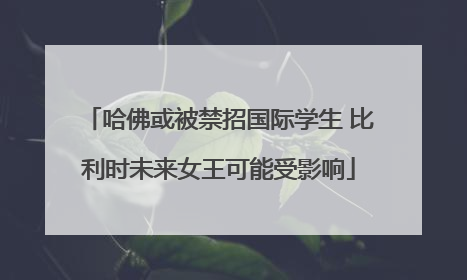哈佛或被禁招国际学生 比利时未来女王可能受影响