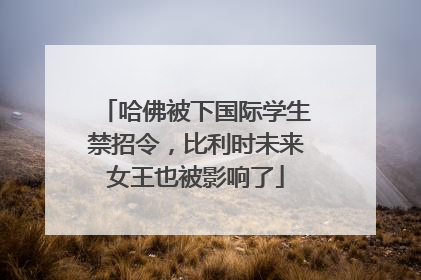 哈佛被下国际学生禁招令，比利时未来女王也被影响了