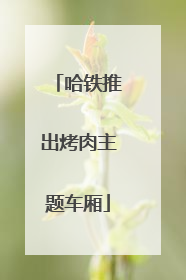 哈铁推出烤肉主题车厢