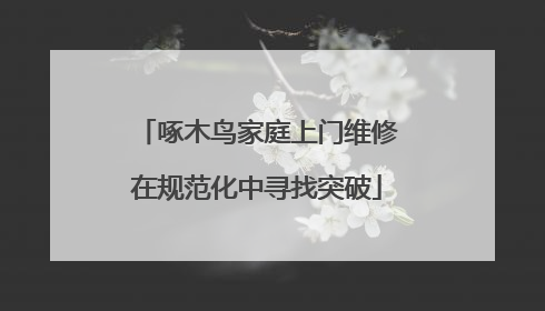 啄木鸟家庭上门维修在规范化中寻找突破