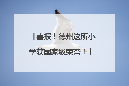 喜报！德州这所小学获国家级荣誉！