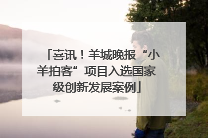 喜讯！羊城晚报“小羊拍客”项目入选国家级创新发展案例