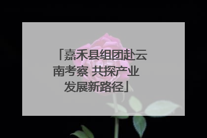 嘉禾县组团赴云南考察 共探产业发展新路径