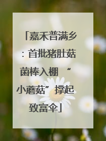 嘉禾普满乡：首批猪肚菇菌棒入棚 “小蘑菇”撑起致富伞