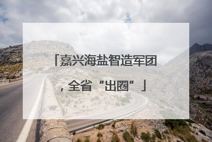 嘉兴海盐智造军团，全省“出圈”