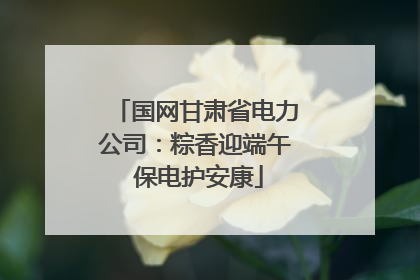 国网甘肃省电力公司：粽香迎端午 保电护安康